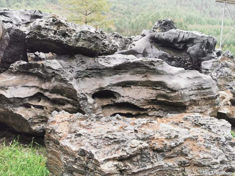 风景石、假山石大量有货,有需要的欢迎联系 - 新手上路 - 贵港生活社区 - 贵港28生活网 gg.28life.com