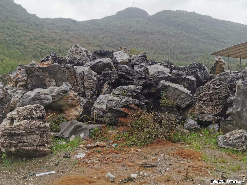 风景石、假山石大量有货,有需要的欢迎联系 - 新手上路 - 贵港生活社区 - 贵港28生活网 gg.28life.com