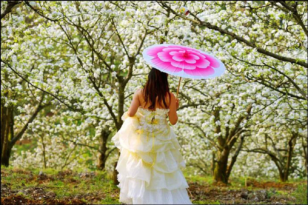 【春天，广西桂林灌阳县向您发出邀请！】我们在灌阳看梨花 - 游山玩水 - 贵港生活社区 - 贵港28生活网 gg.28life.com