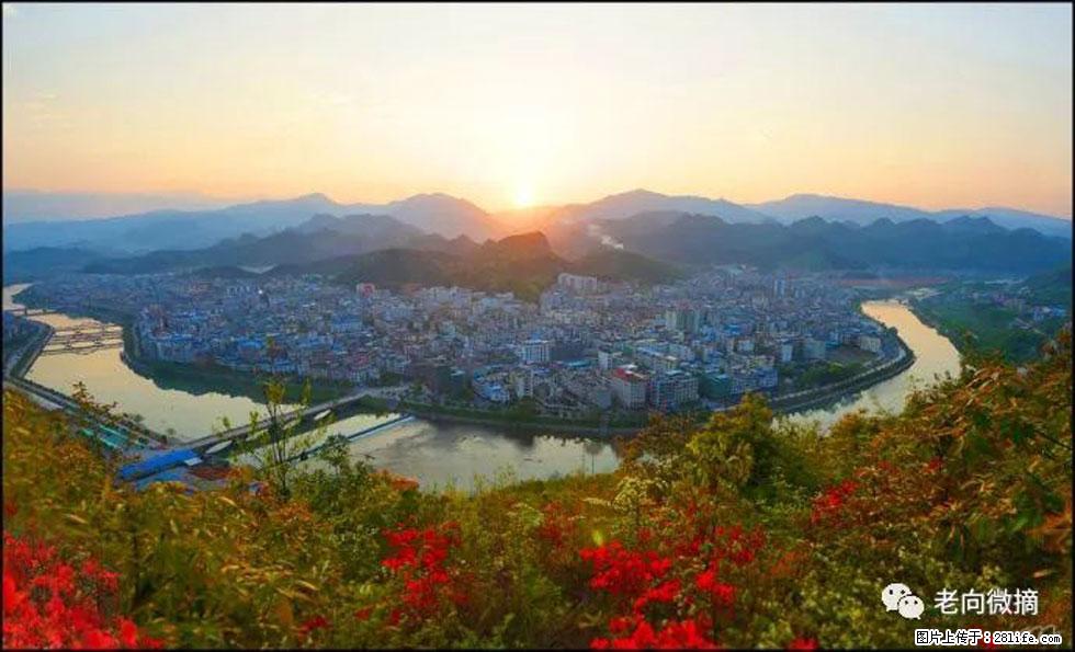 【春天,广西桂林灌阳县向您发出邀请!】登麒麟山,相约映山红 - 游山玩水 - 贵港生活社区 - 贵港28生活网 gg.28life.com