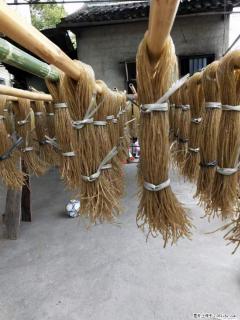 【灌阳正宗红薯粉】美女家里自己做的,干净卫生,假一赔十,价格合理,抢购电话:13737312895 - 贵港28生活网 gg.28life.com