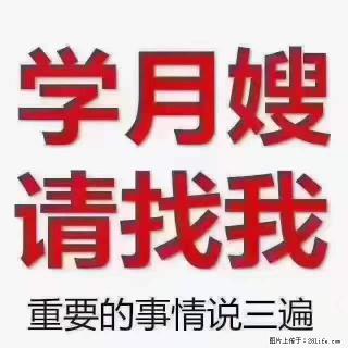 为什么要学习月嫂，育婴师？ - 贵港28生活网 gg.28life.com