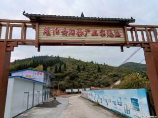 【灌阳县油茶产业示范区】一个有着充实的精神生活的人,对待身外之物自会有一种淡泊的态度 - 贵港28生活网 gg.28life.com