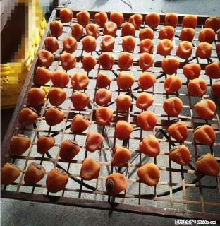 广西桂林平乐桥亭【柿饼之乡】2025年纯手工制作、无任何添加剂的第一批柿饼准备上市了，欢迎联系订购！ - 贵港28生活网 gg.28life.com