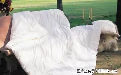 被子有异味?只要这样做,比晒太阳还强100倍! - 家居生活 - 贵港生活社区 - 贵港28生活网 gg.28life.com