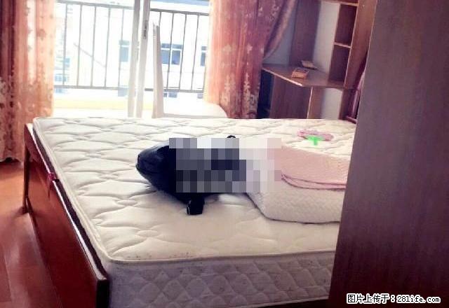 天悦华庭 3室2厅2卫 - 房屋出租 - 房屋租售 - 贵港分类信息 - 贵港28生活网 gg.28life.com