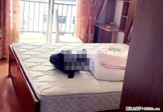 天悦华庭 3室2厅2卫 - 贵港28生活网 gg.28life.com