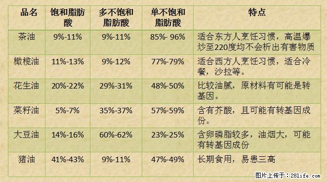 揭秘茶油的5大核心营养成分!被称为人体健康的“守护盾”! - 贵港生活资讯 - 贵港28生活网 gg.28life.com