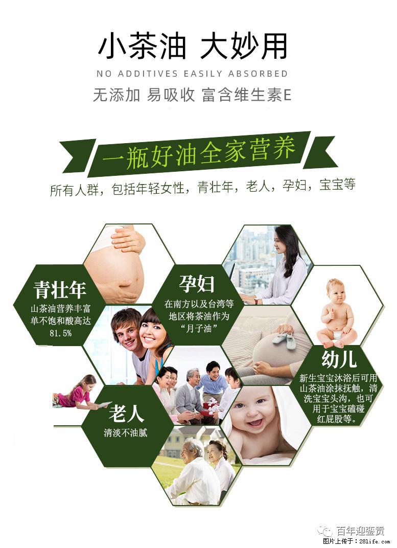 世界没有真相,只有认知,最好的食用油是中国的山茶油! - 贵港生活资讯 - 贵港28生活网 gg.28life.com