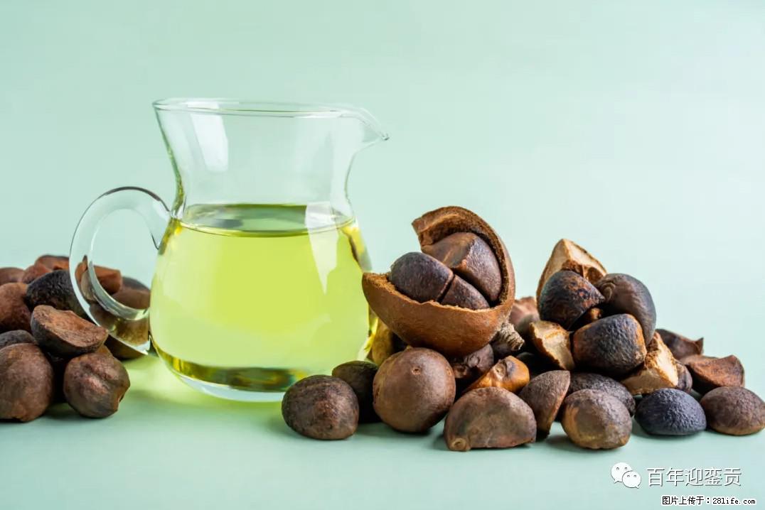 世界没有真相，只有认知，最好的食用油是中国的山茶油！ - 贵港生活资讯 - 贵港28生活网 gg.28life.com