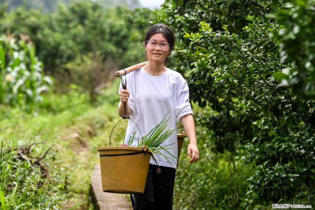 全网追的“扁担女孩”,找了一份暑假工,时薪12元 - 贵港生活资讯 - 贵港28生活网 gg.28life.com