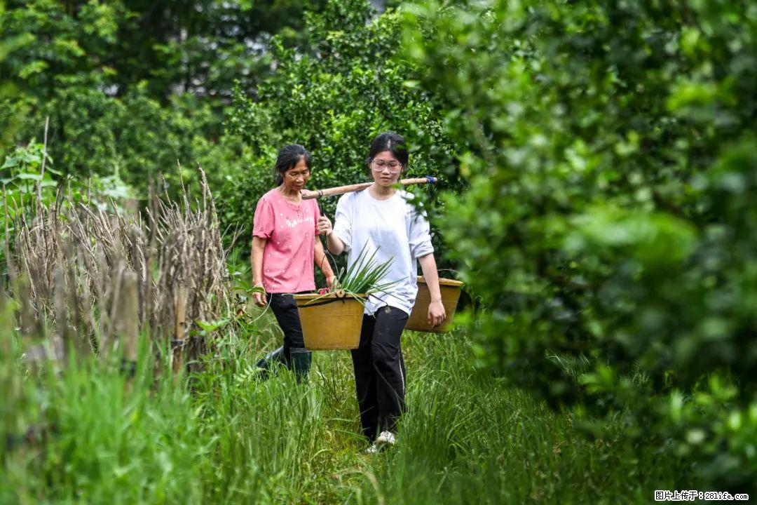 全网追的“扁担女孩”,找了一份暑假工,时薪12元 - 贵港生活资讯 - 贵港28生活网 gg.28life.com