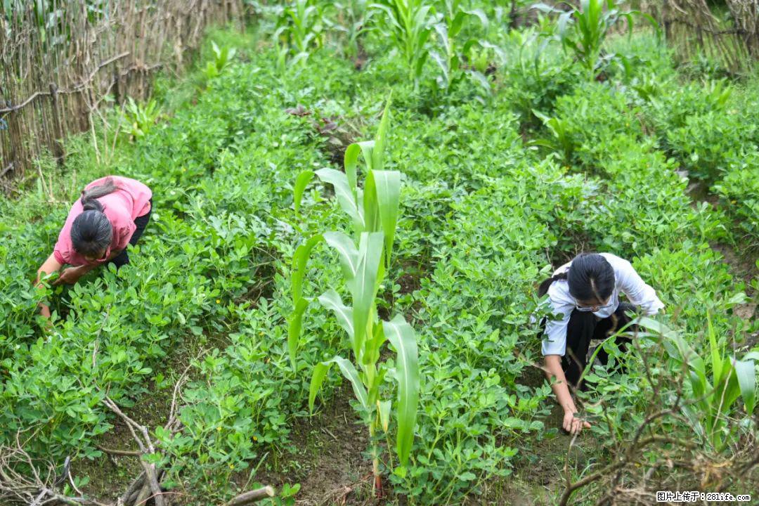全网追的“扁担女孩”,找了一份暑假工,时薪12元 - 贵港生活资讯 - 贵港28生活网 gg.28life.com