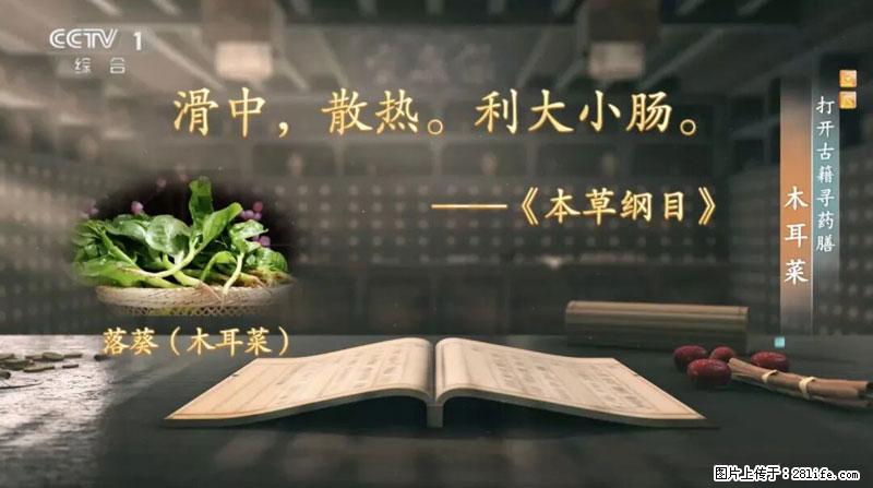 比牛奶补钙还厉害!凉血解毒、稳血糖...这菜冬天必吃,很多人却当草 - 贵港生活资讯 - 贵港28生活网 gg.28life.com