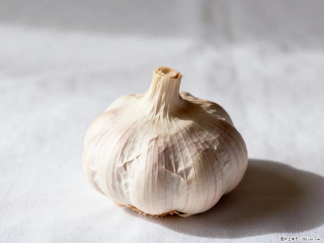 关于大蒜，除了“天然抗生素”，这4个谣言更该警惕! - 贵港生活资讯 - 贵港28生活网 gg.28life.com