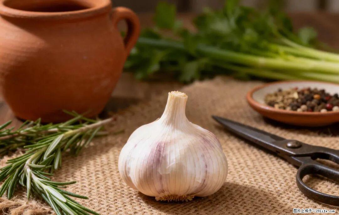 关于大蒜，除了“天然抗生素”，这4个谣言更该警惕! - 贵港生活资讯 - 贵港28生活网 gg.28life.com