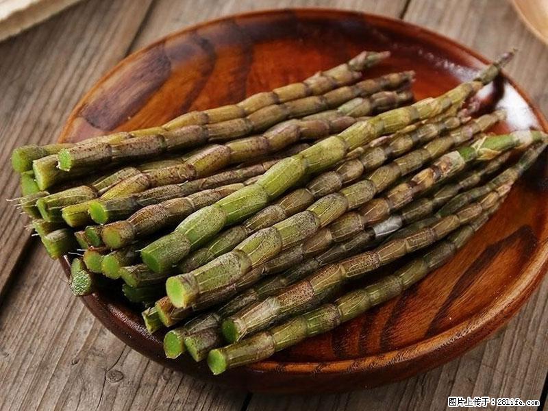 铁皮石斛的作用与功能主治 - 贵港生活资讯 - 贵港28生活网 gg.28life.com